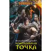Постер книги Контрольная точка