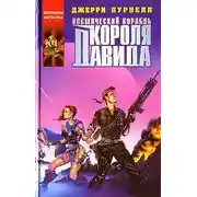 Постер книги Космический корабль короля Давида