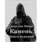 Постер книги Камень. Книга 7