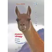 Постер книги Правила сёрфера