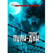 Постер книги Группа «Пули-Дни». Избранные песни