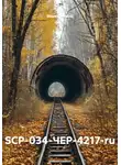 Марк Пенской - SCP-034-ЧЕР-4217-ru