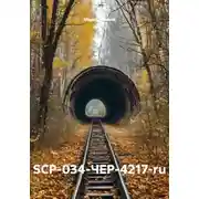 Постер книги SCP-034-ЧЕР-4217-ru