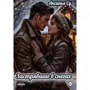 Постер книги Застрявшие в снегах