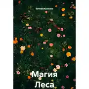 Постер книги Магия Леса