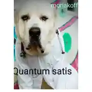 Постер книги Quantum satis