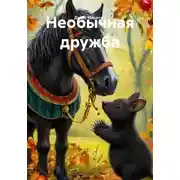 Постер книги Необычная дружба