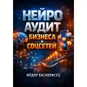 Постер книги Нейро аудит Бизнеса и соцсетей