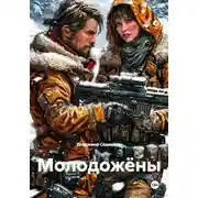 Постер книги Молодожёны