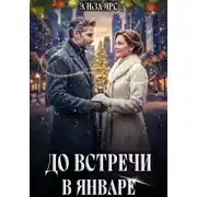 Постер книги До встречи в январе