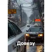 Постер книги Довезу