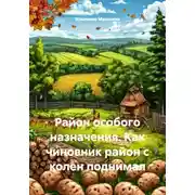 Постер книги Район особого назначения. Как чиновник район с колен поднимал