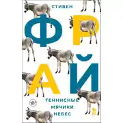Постер книги Теннисные мячики небес