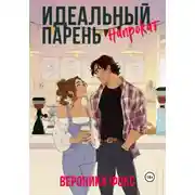 Постер книги Идеальный парень напрокат