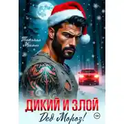 Постер книги Дикий и злой Дед Мороз!