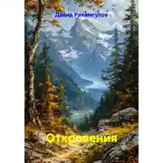 Постер книги Откровения