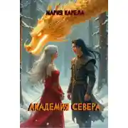 Постер книги Академия севера: ставка на победителя