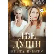 Постер книги Две души. Испытания бытом