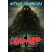 Постер книги Сольмор