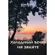 Постер книги Холодный вечер на закате
