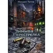 Постер книги Зимняя Перестрелка