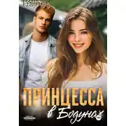 Постер книги Принцесса в Бодунах