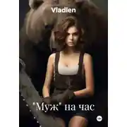 Постер книги «Муж» на час