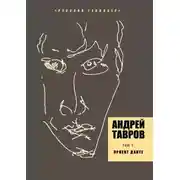 Постер книги Том 3. Проект Данте