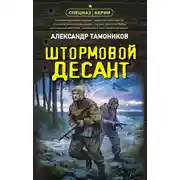 Постер книги Штормовой десант