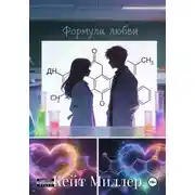 Постер книги Формула любви