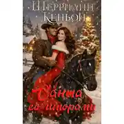 Постер книги Санта со шпорами