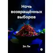 Постер книги Ночь возвращённых выборов