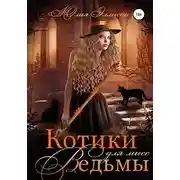 Постер книги Котики для мисс Ведьмы