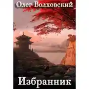 Постер книги Избранник