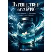 Постер книги Путешествие через бурю: Как справляться с эмоциями в подростковом возрасте