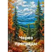Постер книги Через преграды