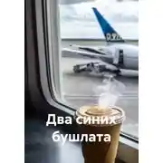 Постер книги Два синих бушлата