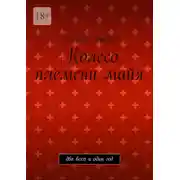 Постер книги Колесо племени майя. Два века и один год