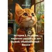 Постер книги История 3. Из серии коротких рассказов: кот рыжий, обыкновенный – Васька