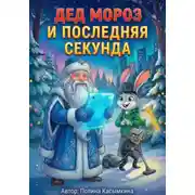 Постер книги Дед мороз и последняя секунда