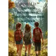 Постер книги Тайный незнакомец. Приключение меж мирами