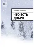 Владимир Кудрявцев - Что есть добро