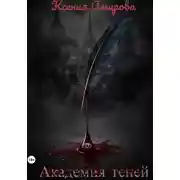Постер книги Академия теней