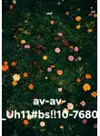 wef - av-av- _Uh11#bs!!10-7680