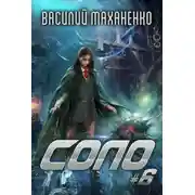 Постер книги Соло. Книга 6