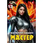 Постер книги Мастер 13