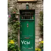 Постер книги Усы