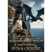 Постер книги Повенчанные небом 1. Путь к свободе
