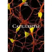 Постер книги Сателлиты