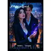 Постер книги Жизнь Ведьмой. Книга вторая. Верховный Маг